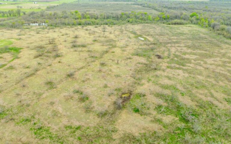 Exterior 12 850x530 1 768x479