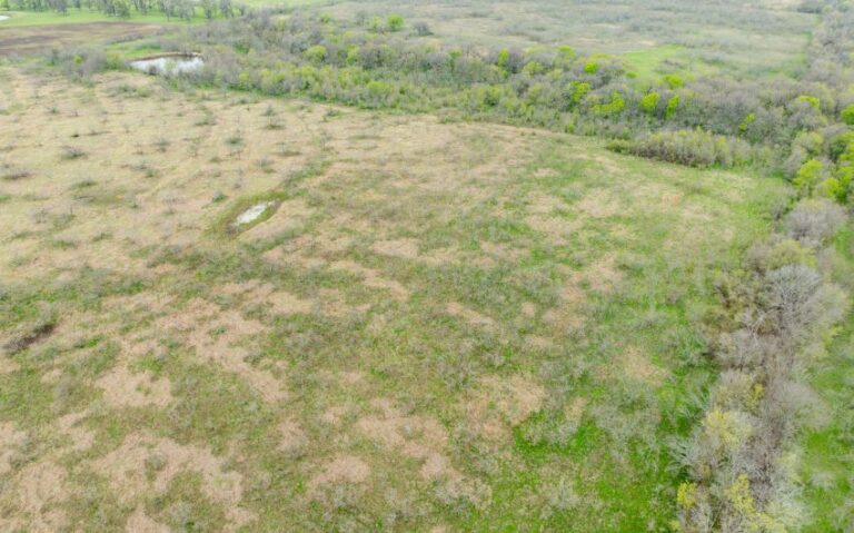 Exterior 16 850x530 1 768x479