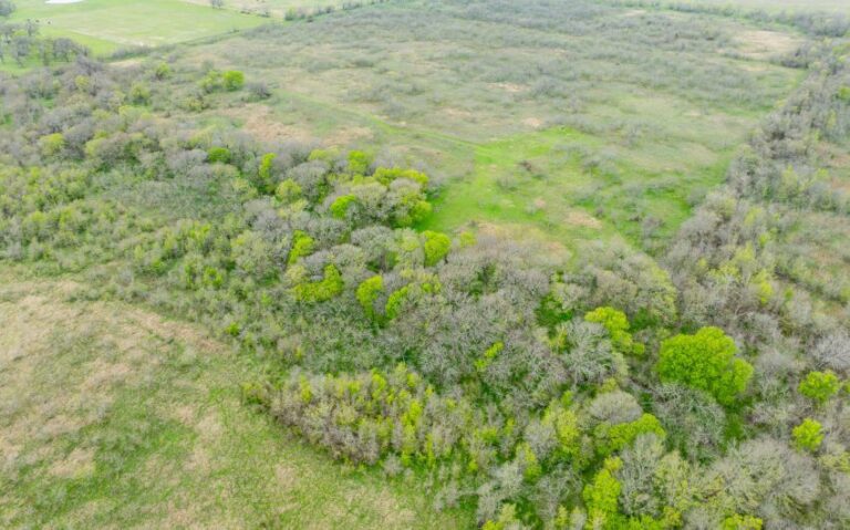 Exterior 17 850x530 1 768x479