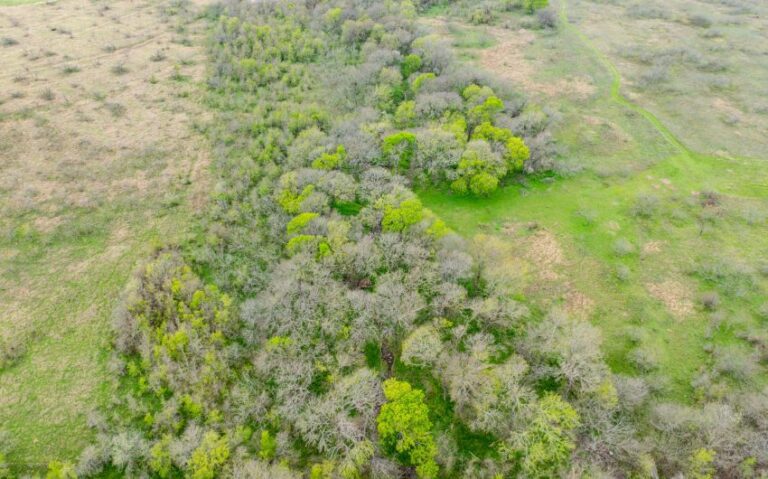 Exterior 18 850x530 1 768x479