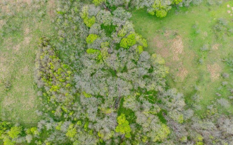 Exterior 20 850x530 1 768x479