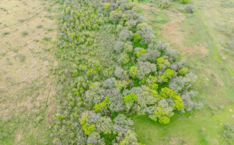 Exterior 21 850x530 1 768x479