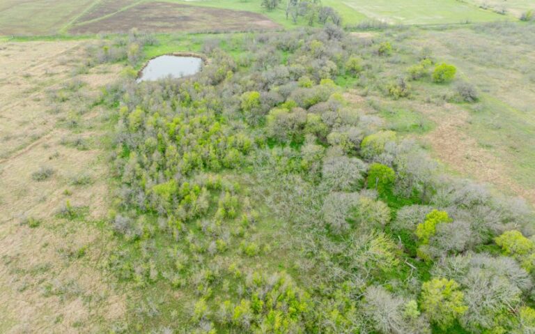 Exterior 23 850x530 1 768x479