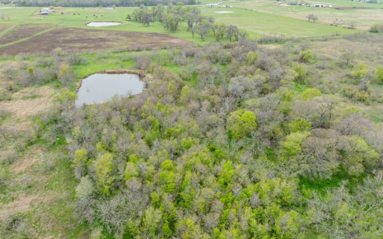 Exterior 24 850x530 1 768x479