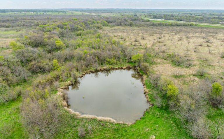 Exterior 27 850x530 1 768x479