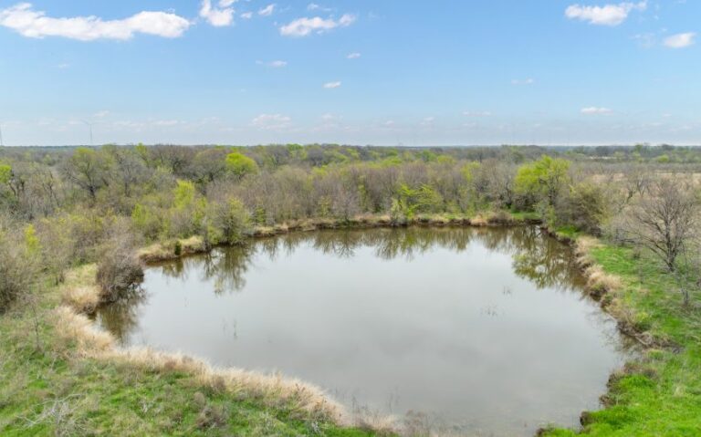 Exterior 28 850x530 1 768x479