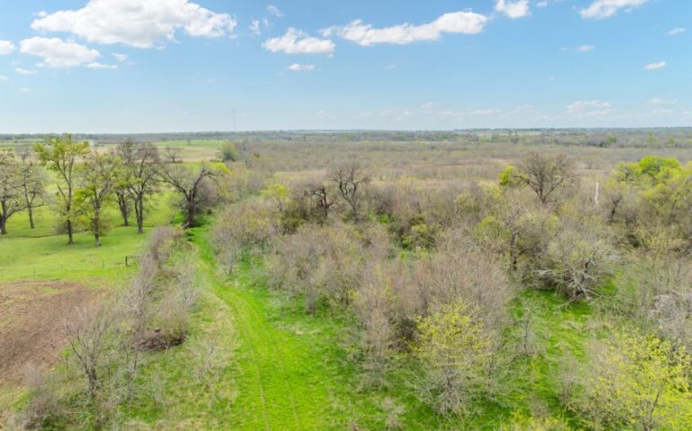 Exterior 30 850x530 1 768x479