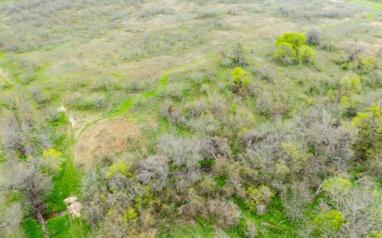 Exterior 31 850x530 1 768x479