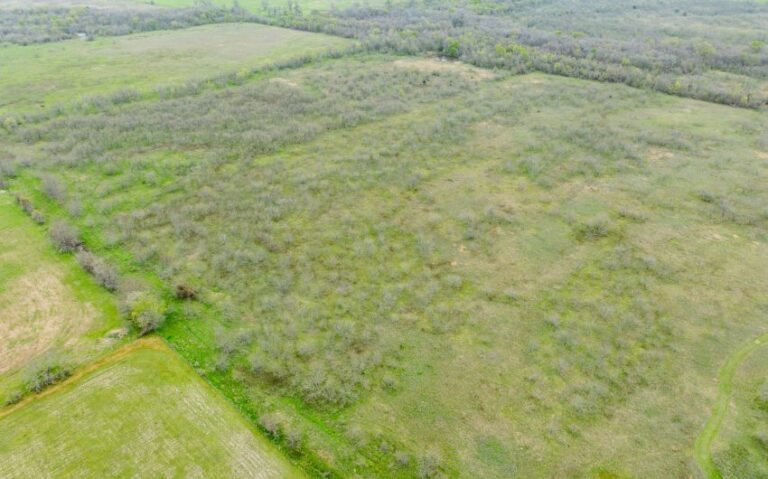 Exterior 33 850x530 1 768x479