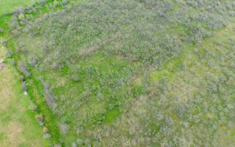 Exterior 34 850x530 1 768x479