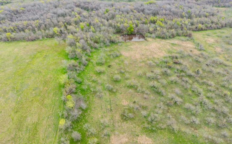 Exterior 37 850x530 1 768x479