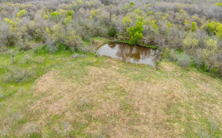 Exterior 39 850x530 1 768x479