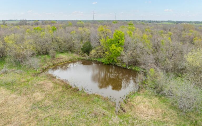 Exterior 40 850x530 1 768x479