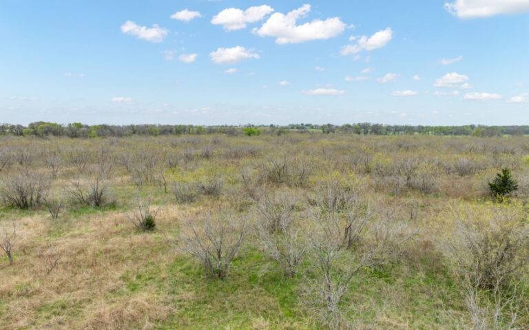 Exterior 43 850x530 1 768x479