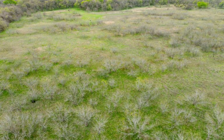 Exterior 44 850x530 1 768x479