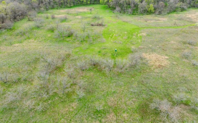 Exterior 45 850x530 1 768x479