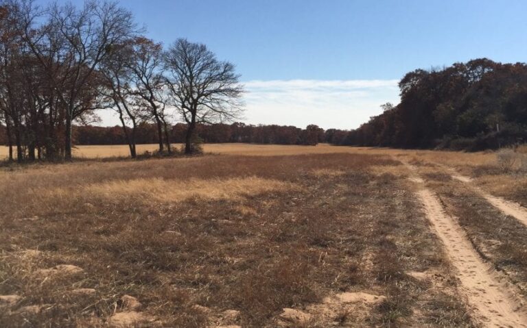 FFB03017 D536 4842 A8F2 FB7C3F970424 e1543541174246 850x530 1 768x479