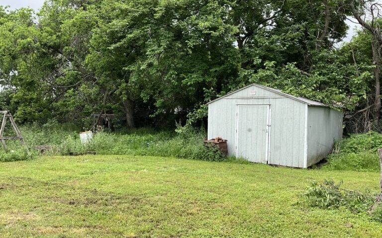 IMG 0010 850x530 1 768x479