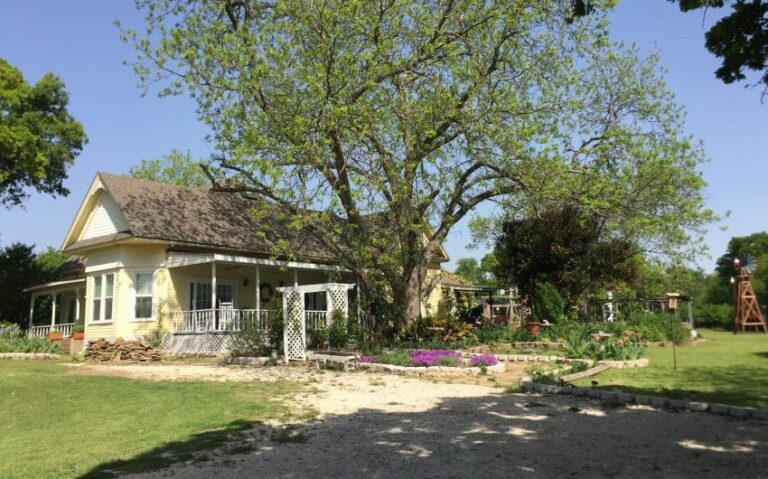 IMG 3570 850x530 1 768x479