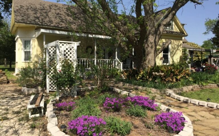 IMG 3572 850x530 1 768x479