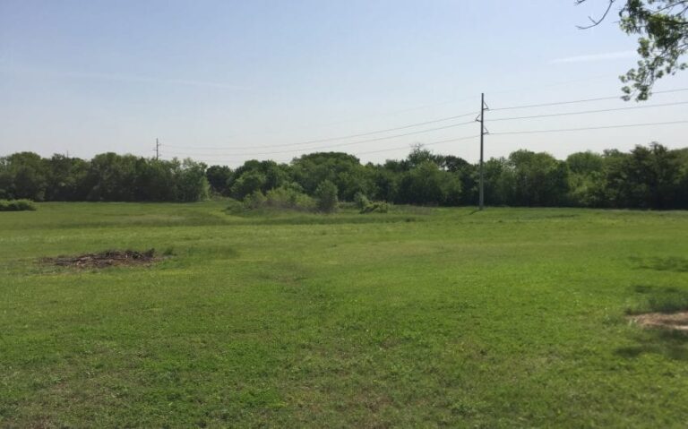 IMG 3575 850x530 1 768x479