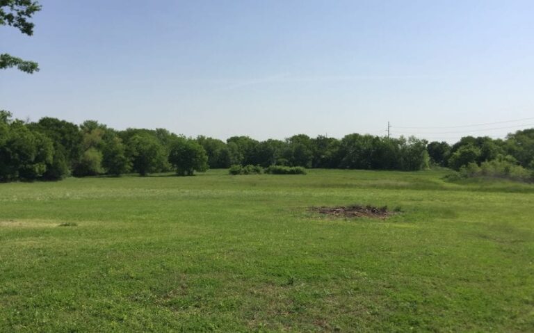 IMG 3576 850x530 1 768x479