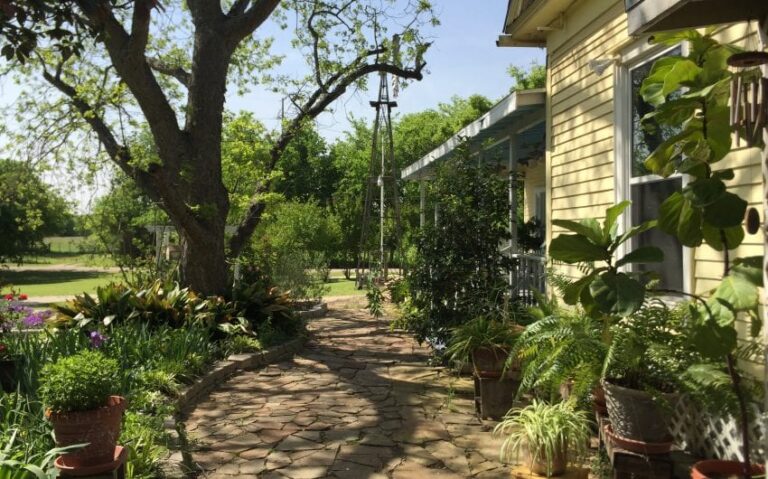 IMG 3579 850x530 1 768x479