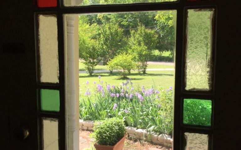 IMG 3588 e1524088910619 850x530 1 768x479