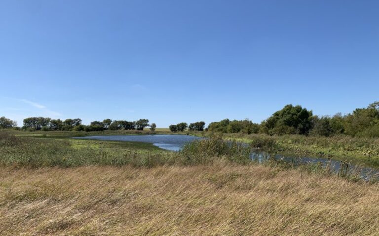 IMG 5791 850x530 1 768x479