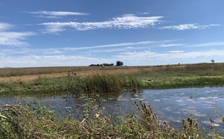 IMG 5793 850x530 1 768x479