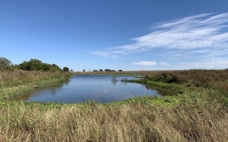 IMG 5794 850x530 1 768x479