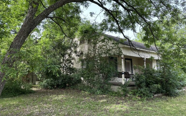 IMG 6739 850x530 1 768x479