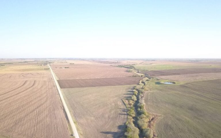 Photo Aug 31 8 00 41 AM 850x530 1 768x479