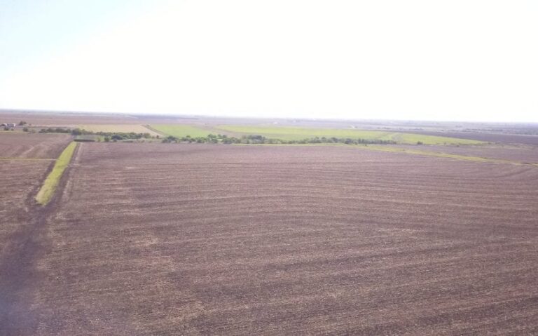 Photo Aug 31 9 18 50 AM 850x530 1 768x479