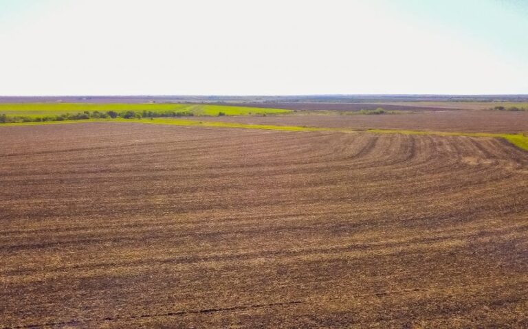 Photo Aug 31 9 24 22 AM 850x530 1 768x479