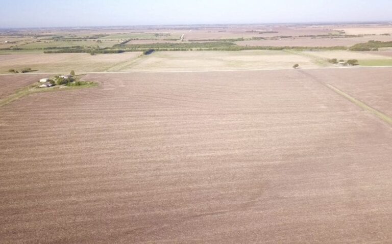 Photo Sep 01 9 12 40 AM 850x530 1 768x479