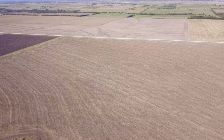 Photo Sep 01 9 13 22 AM 850x530 1 768x479