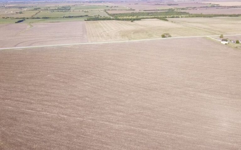 Photo Sep 01 9 13 27 AM 850x530 1 768x479