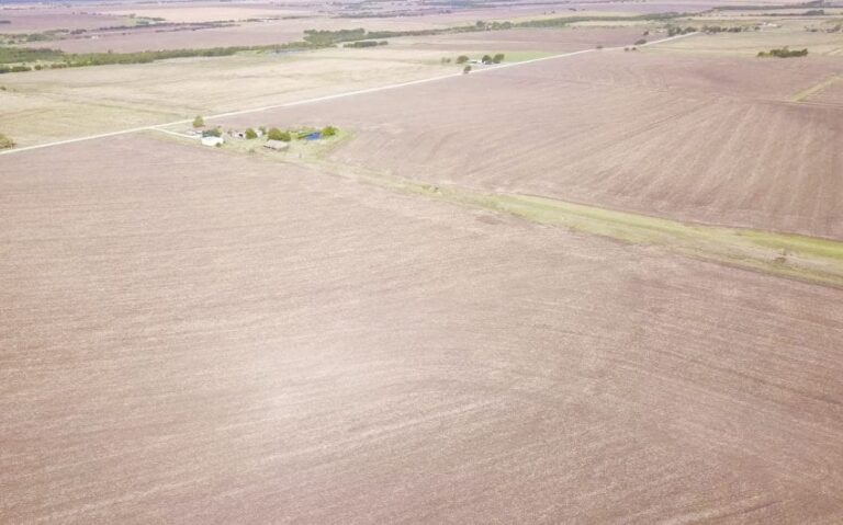 Photo Sep 01 9 13 33 AM 850x530 1 768x479