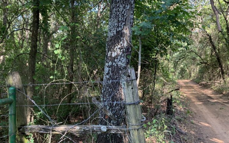 TBD HCR 1307 END OF ROAD PIC 850x530 1 768x479