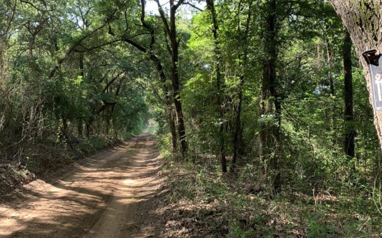 TBD HCR 1307 ROAD 2 850x530 1 768x479