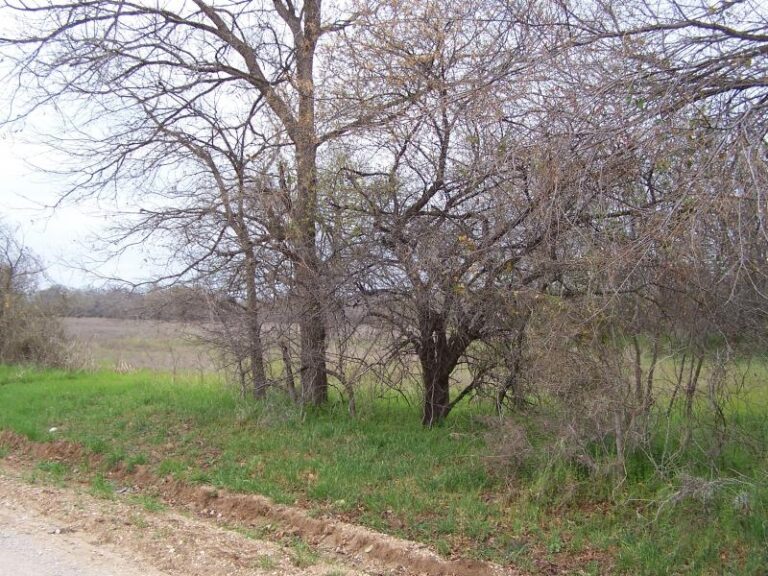 acreage201 5peoria 1 768x576